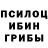 Псилоцибиновые грибы Psilocybine cubensis Artem Chirkaev