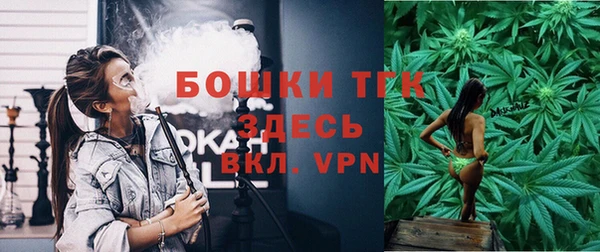 спиды Арсеньев