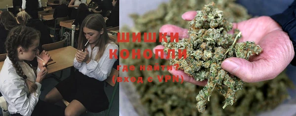 трава Балахна